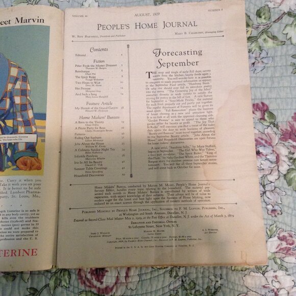 ORIGINAL People's Home Journal, August 1929, 1920s '20s Magazine - Picture 2 of 4